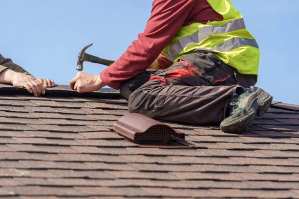 Best Roof Gutter Cleaning  in Somerville, NJ