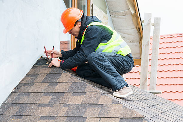 Best Roof Leak Repair  in Somerville, NJ